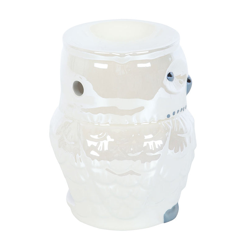 Brûle-parfum hibou irisé – Ambiance mystique