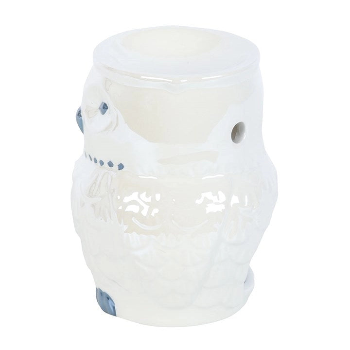 Brûle-parfum hibou irisé – Ambiance mystique