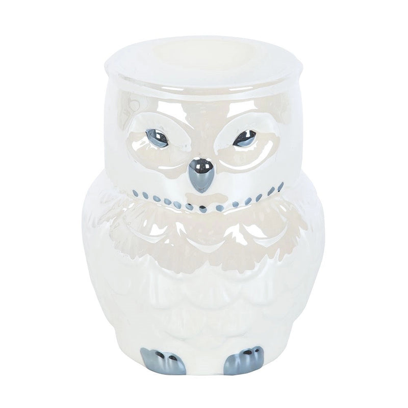 Brûle-parfum hibou irisé – Ambiance mystique