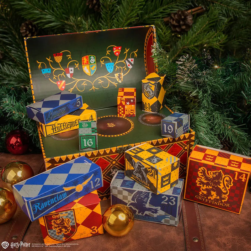 Calendrier de l’Avent 2025 Coffret Quidditch – Harry Potter