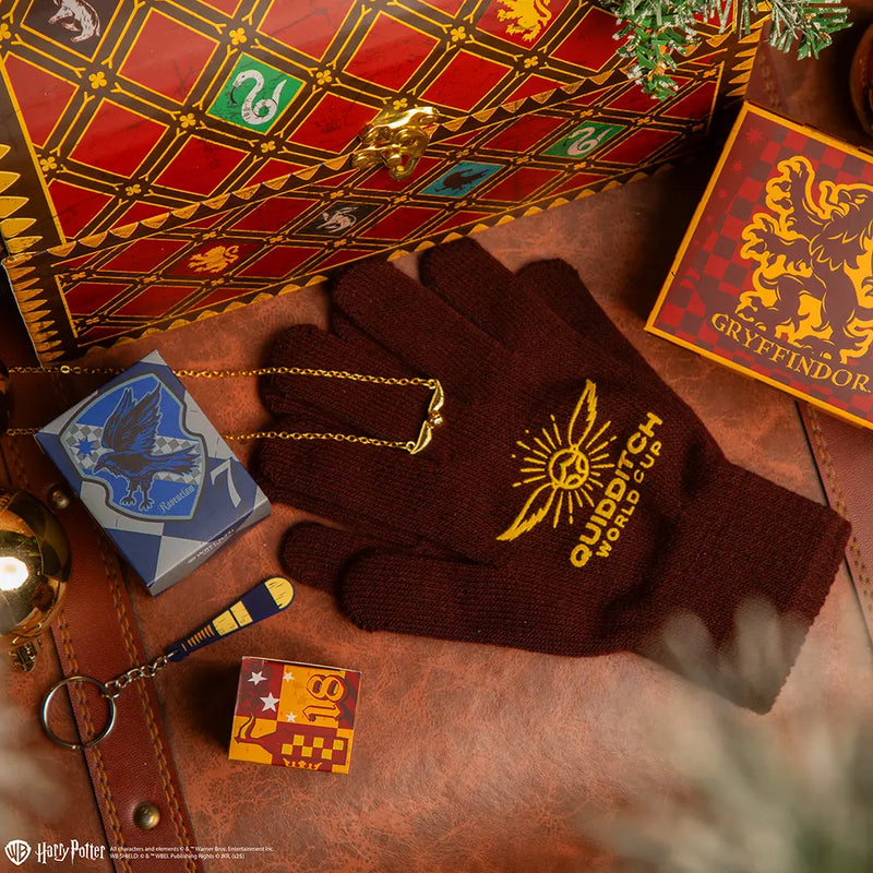Calendrier de l’Avent 2025 Coffret Quidditch – Harry Potter
