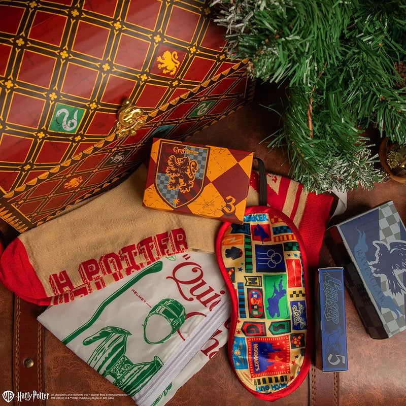 Calendrier de l’Avent 2025 Coffret Quidditch – Harry Potter