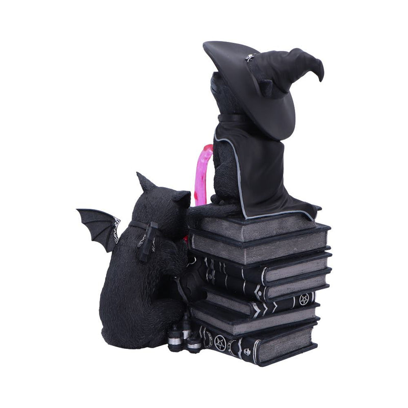 Figurine Le Chaudron Curieux – Chats Sorciers Malpuss & Purrah – Collection Cult Cuties Nemesis Now