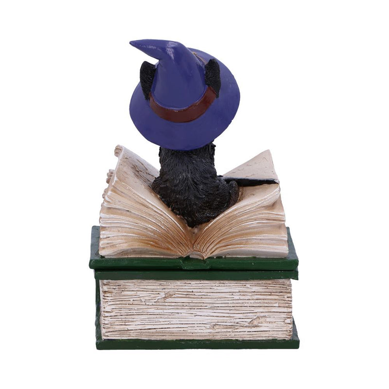 Boîte magique Chat Sorcier sur grimoire