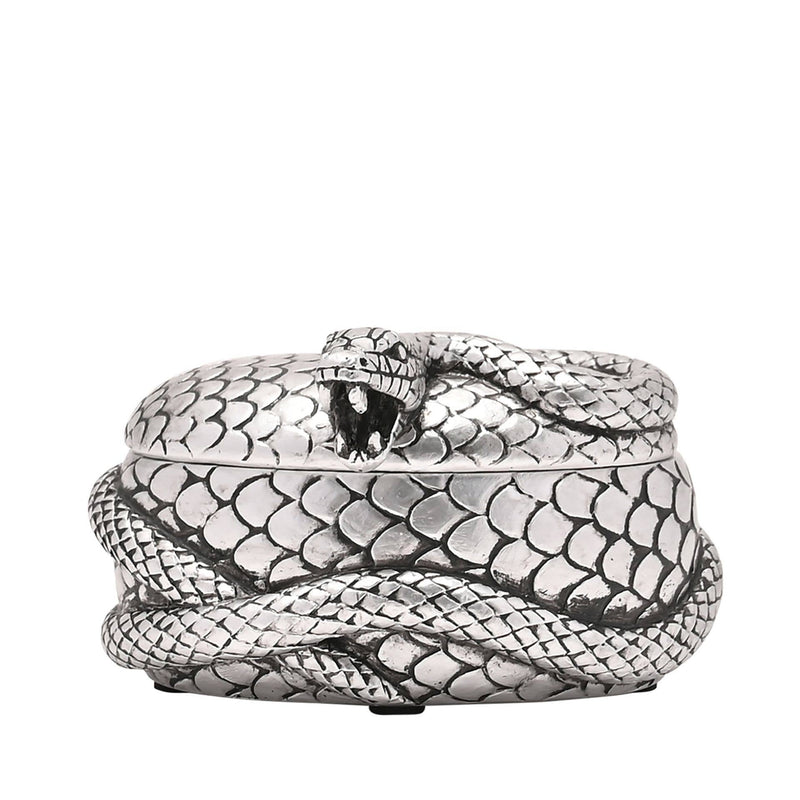 Boite harry potter ovale argentée, avec un serpent