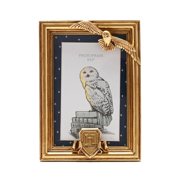 Cadre doré Hedwige de Harry Potter