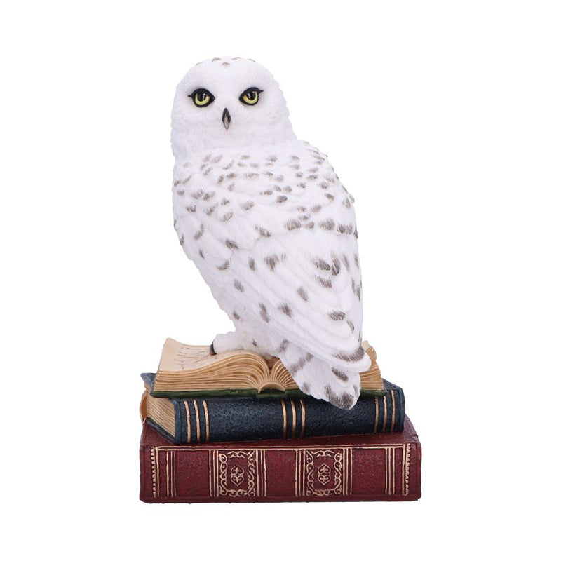 Chouette Harfang des Neiges sur ses livres