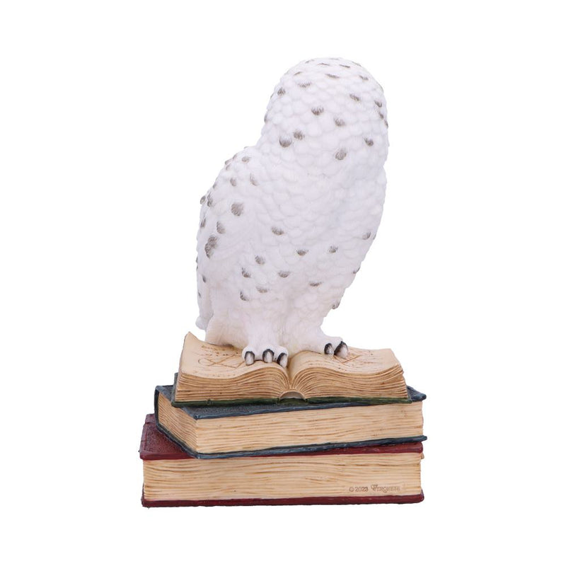 Chouette Harfang des Neiges sur ses livres
