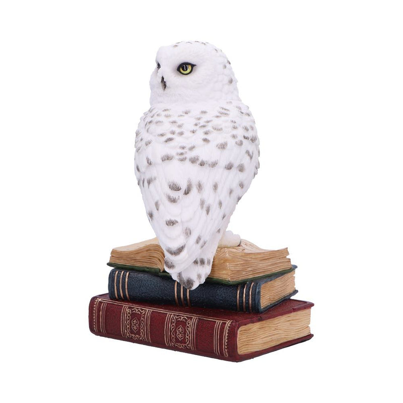 Chouette Harfang des Neiges sur ses livres