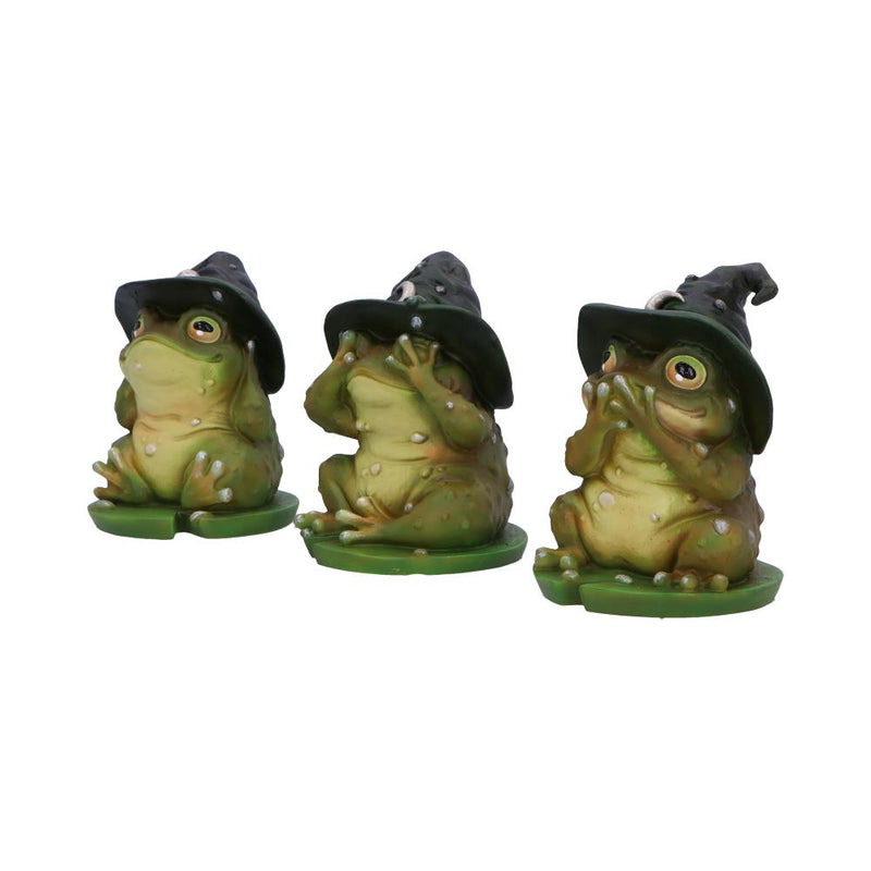Les 3 Sages Grenouilles Sorcières - Mantra féerique de protection