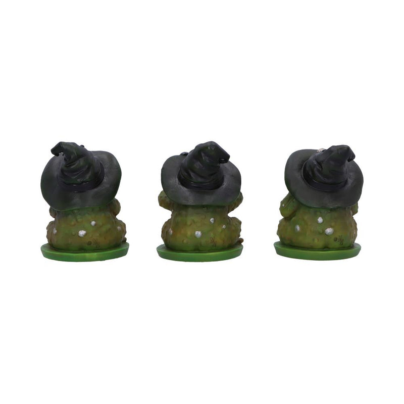 Les 3 Sages Grenouilles Sorcières - Mantra féerique de protection