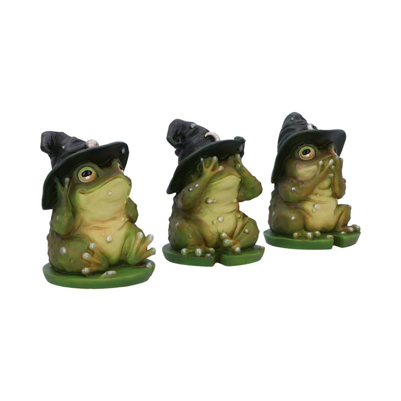 Les 3 Sages Grenouilles Sorcières - Mantra féerique de protection