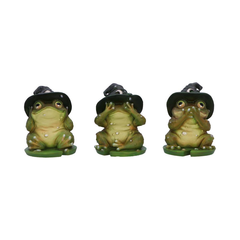 Les 3 Sages Grenouilles Sorcières - Mantra féerique de protection