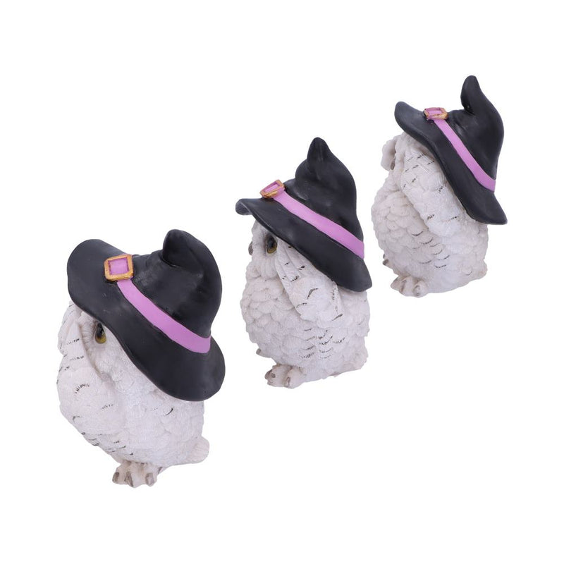 Les 3 Sages Chouettes Sorcières – Mantra protecteur féérique