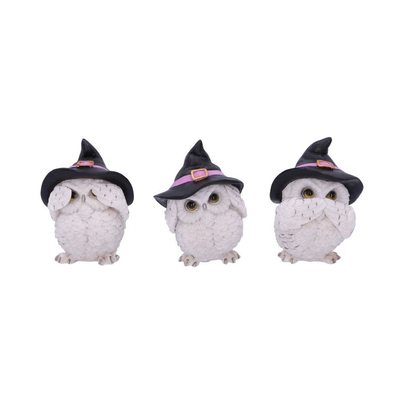 Les 3 Sages Chouettes Sorcières – Mantra protecteur féérique