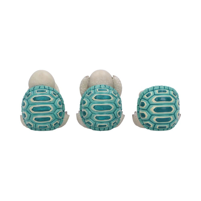Les 3 Sages Tortues - Sagesse protectrice