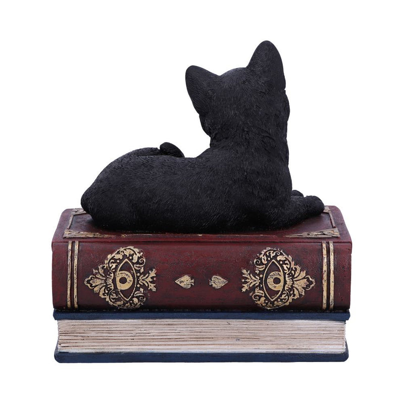 Figurine Chat noir sur grimoires avec rangement secret