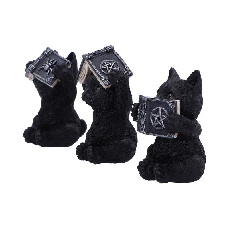Les 3 Sages Chats Occultes – Grimoires mystiques de protection