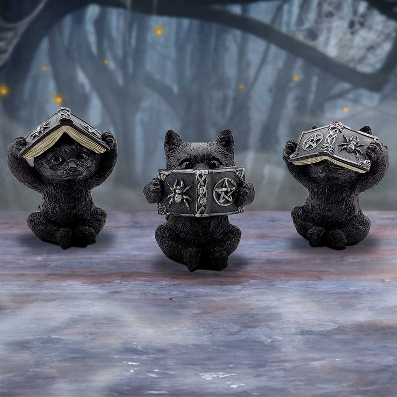 Les 3 Sages Chats Occultes – Grimoires mystiques de protection