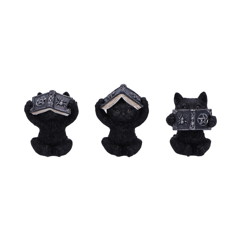 Les 3 Sages Chats Occultes – Grimoires mystiques de protection