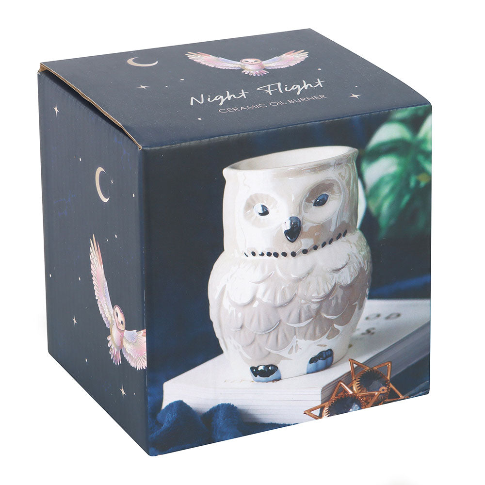 Brûle-parfum hibou irisé – Ambiance mystique