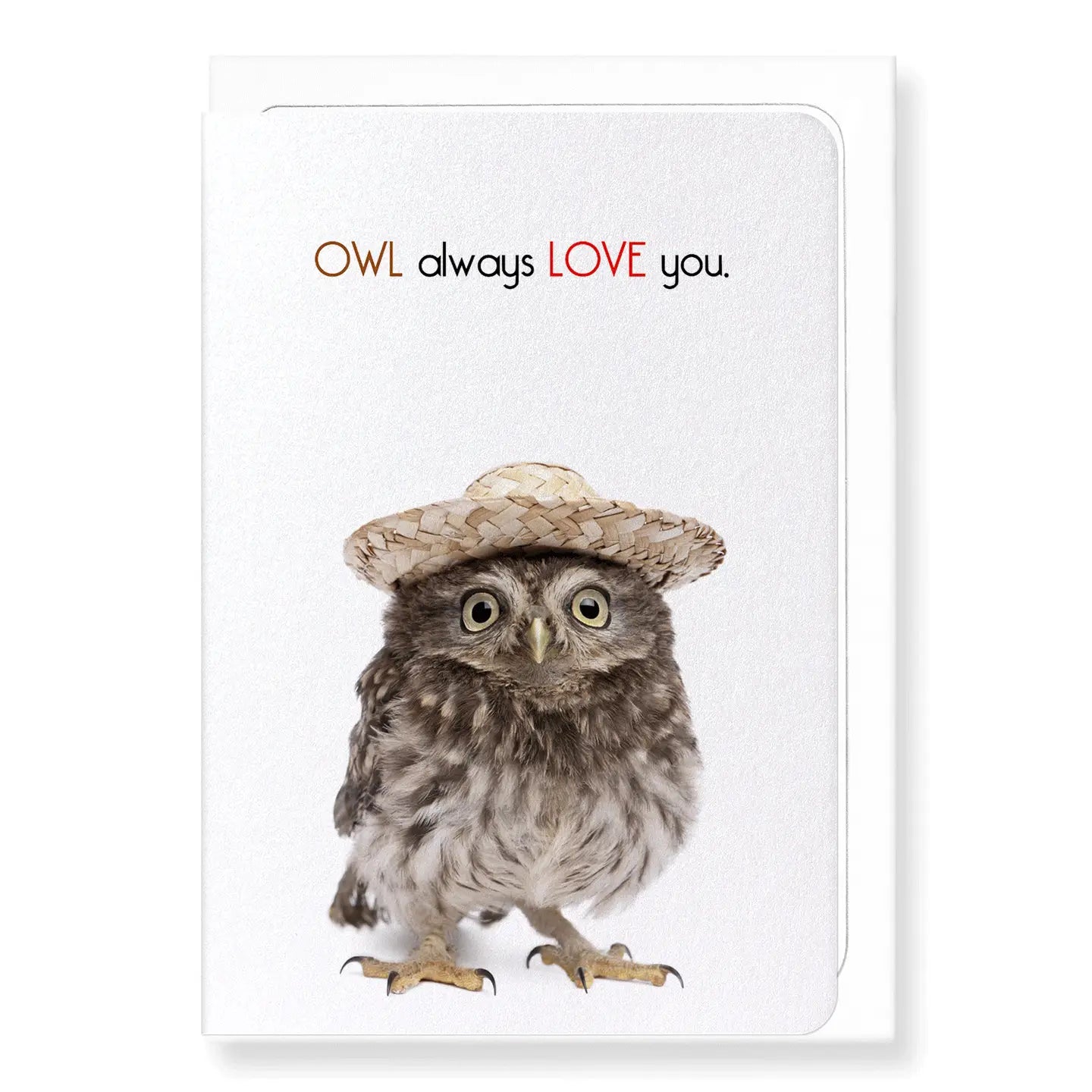 Carte postale Owl Always Love You - Hibou amoureux