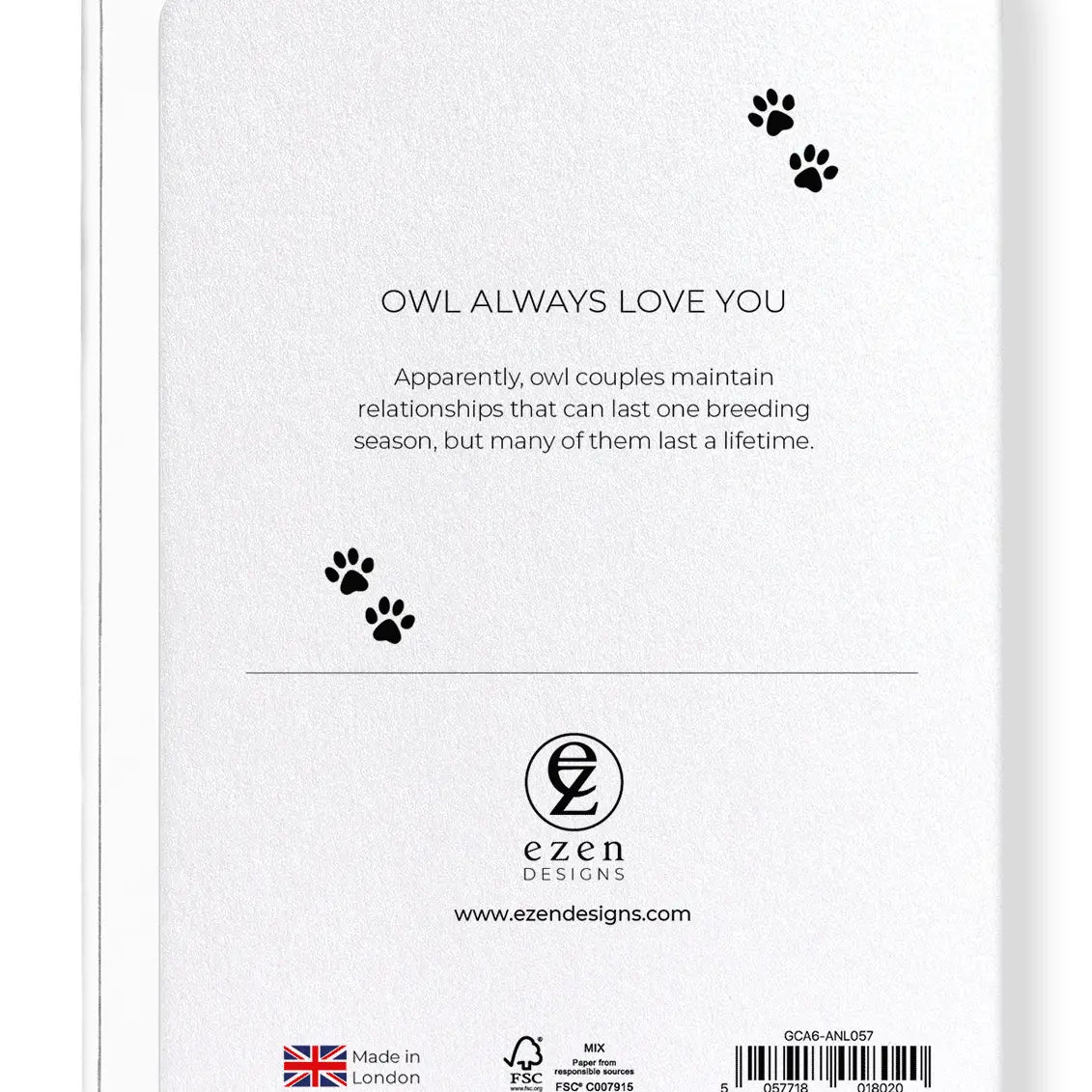 Carte postale Owl Always Love You - Hibou amoureux
