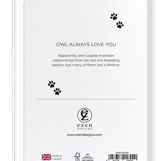 Carte postale Owl Always Love You - Hibou amoureux