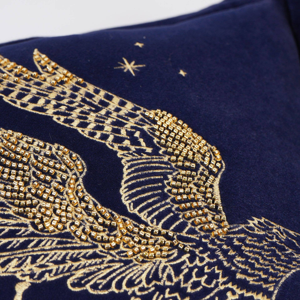 Coussin Harry Potter – Buck brodé en velours