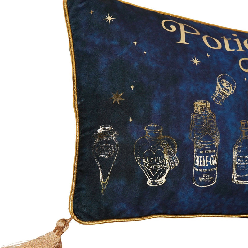 Coussin Harry Potter – Cours de Potions en velours