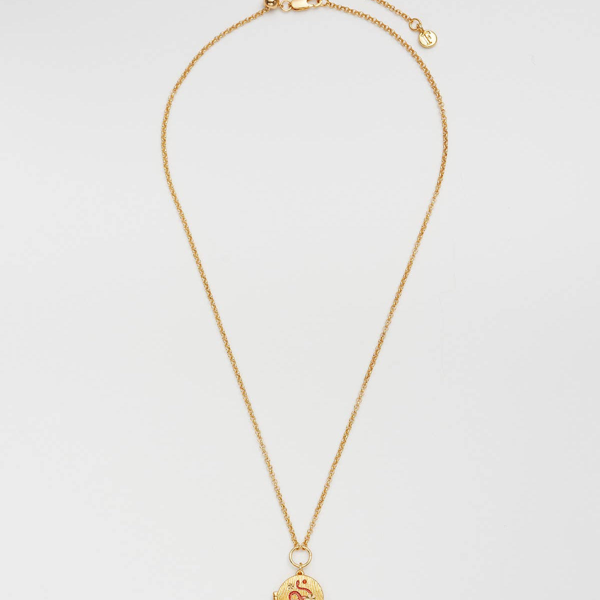 Collier médaillon Fleur et serpent doré – Plaqué or 22 carats - Fable England