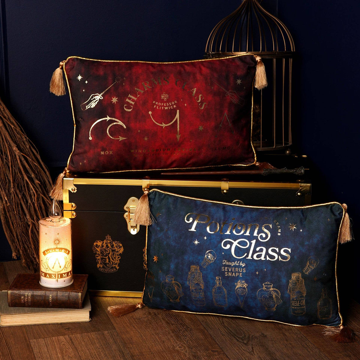 Coussin Harry Potter – Cours de Potions en velours