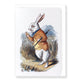 Carte postale Lapin de Alice au Pays des Merveilles