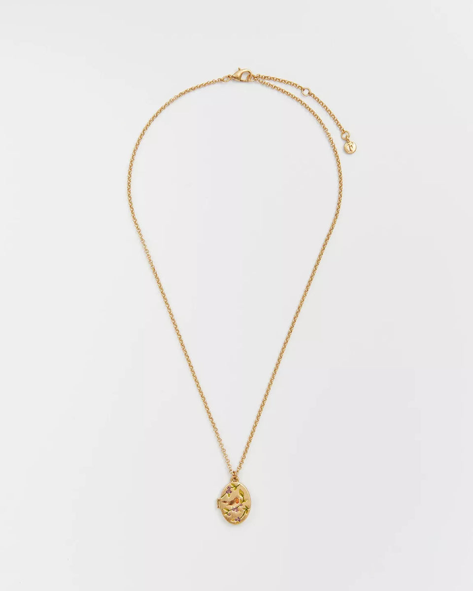 Collier Médaillon Rouge-gorge & Mûre – Plaqué or - Fable England