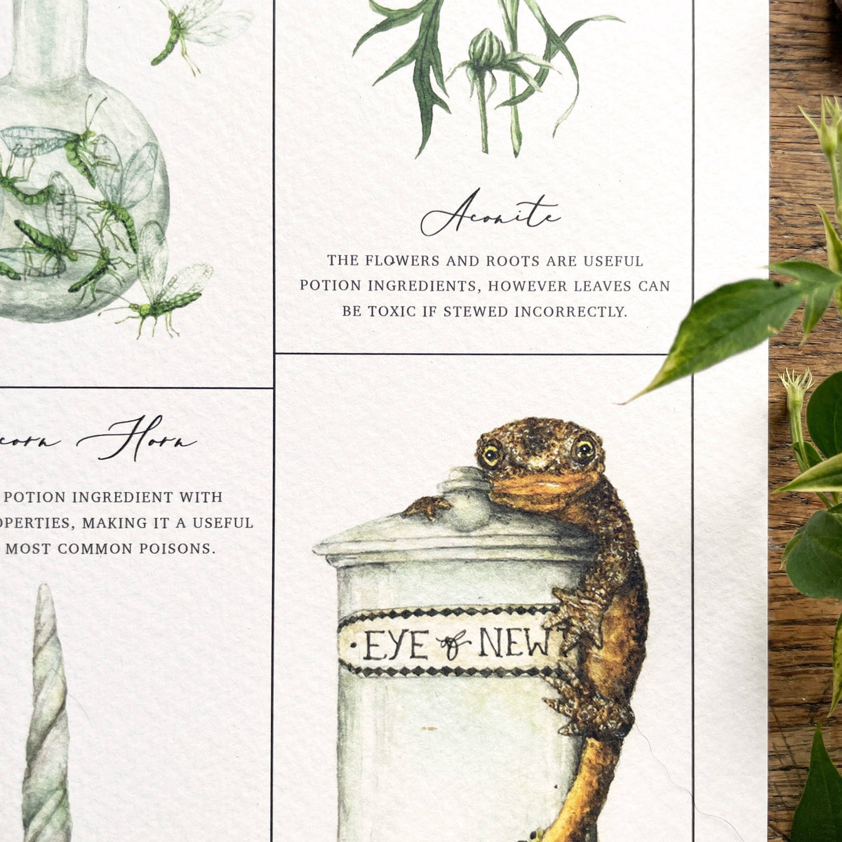 Illustration Ingrédients de Potions magiques – A4 ou A3