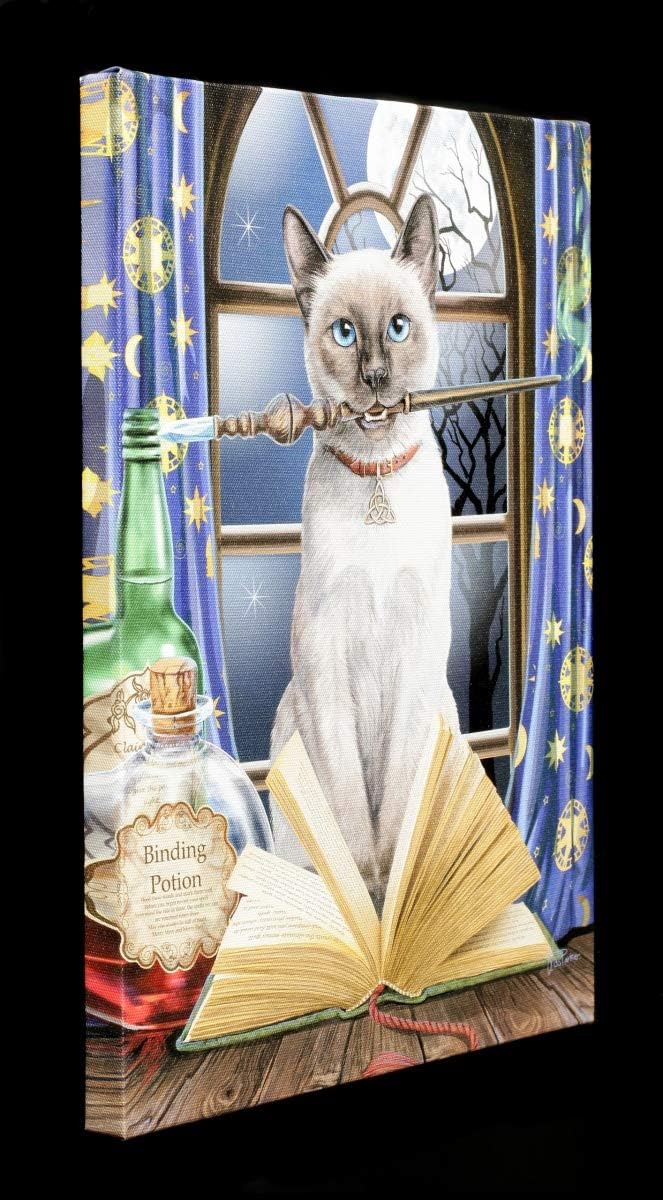 Tableau ésotérique – Chat mystique au grimoire et baguette magique - Lisa Parker