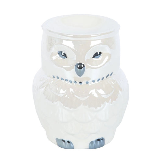 Brûle-parfum hibou irisé – Ambiance mystique