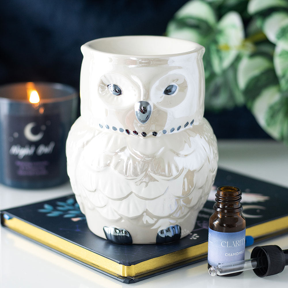 Brûle-parfum hibou irisé – Ambiance mystique