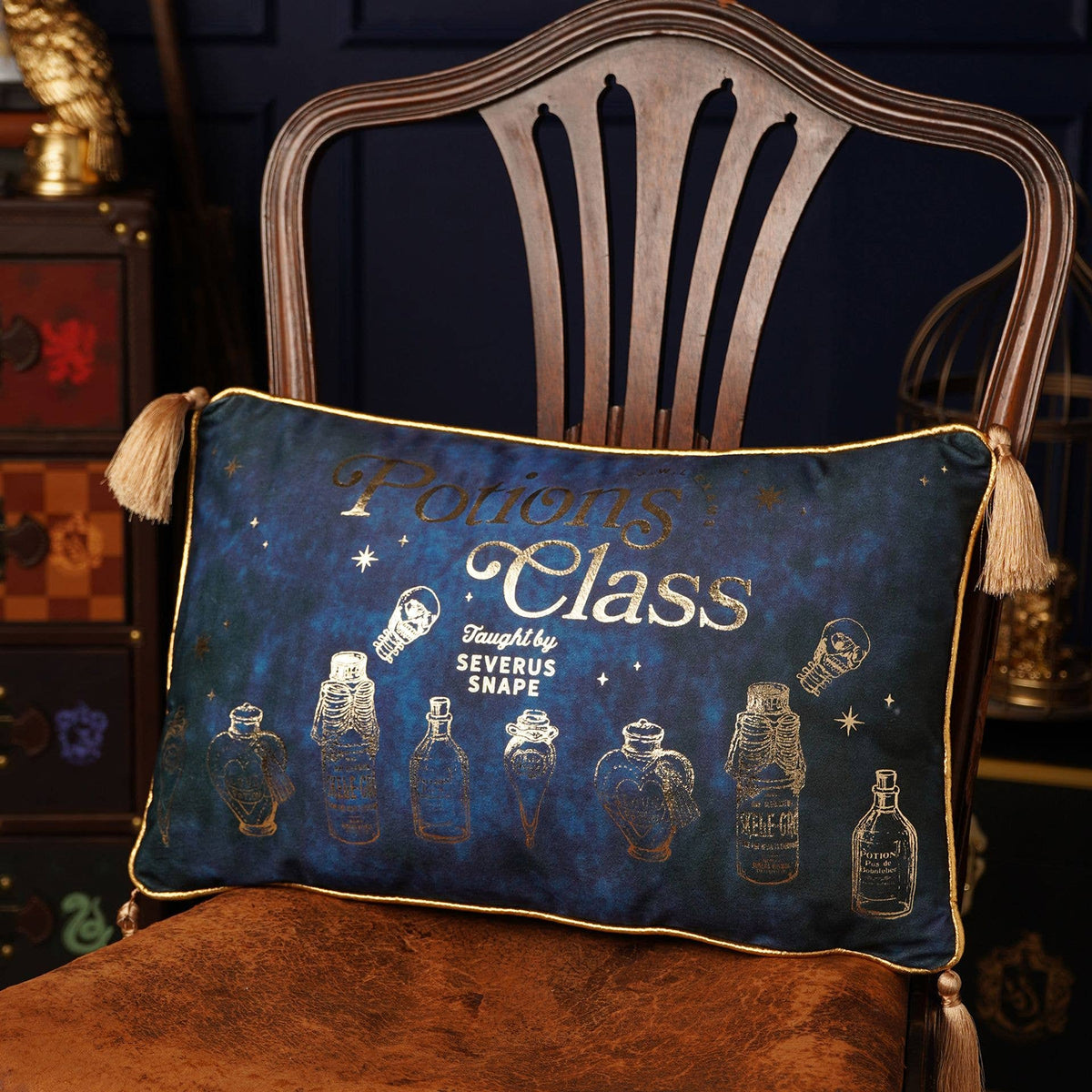 Coussin Harry Potter – Cours de Potions en velours