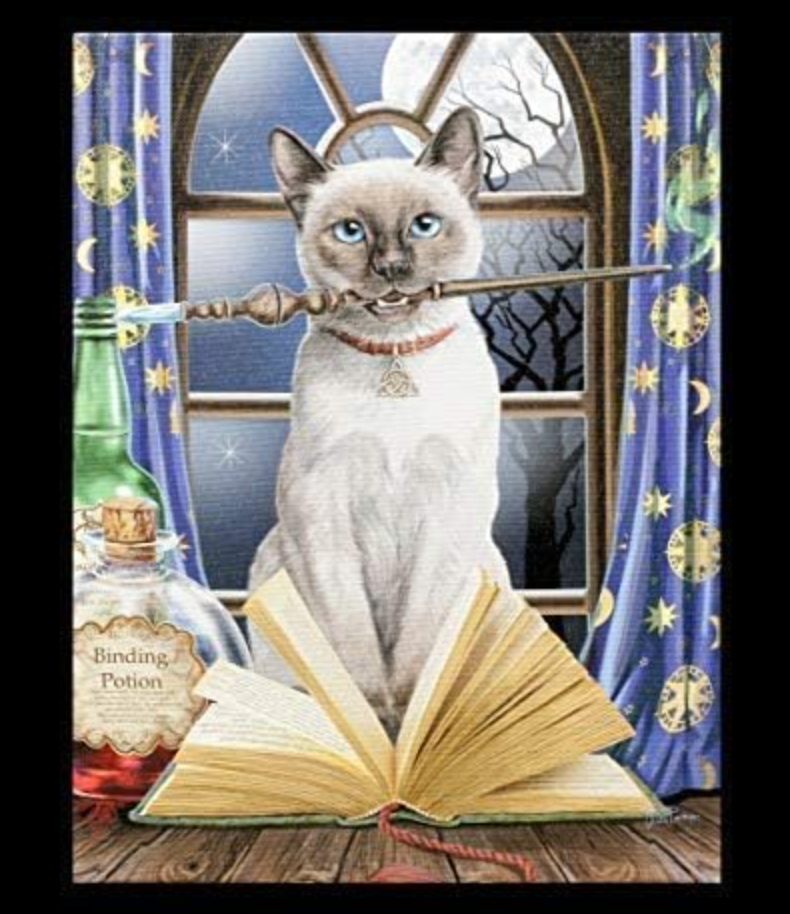 Tableau ésotérique – Chat mystique au grimoire et baguette magique - Lisa Parker