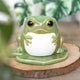 Brûle-parfum grenouille en céramique