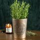Pot de Fleurs « Garden Witch » en Terre Cuite Effet Bronze – Cache-Pot Sorcière du Jardin