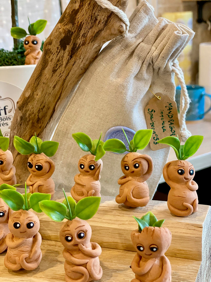 Figurine Mandragore Artisanale en Argile – Décoration de Plante
