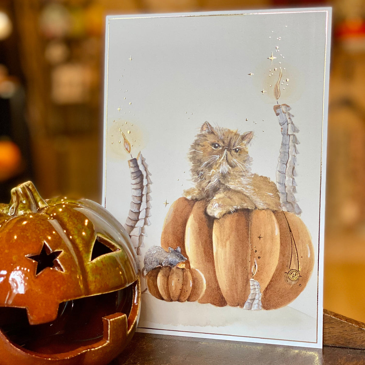 Illustration A5 chat, rat & citrouilles – Univers magique