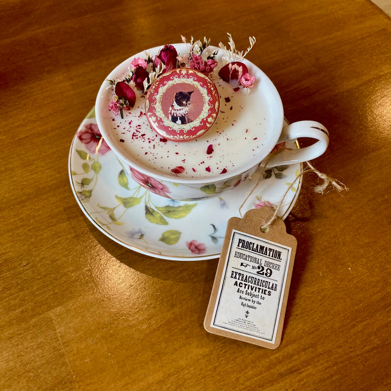 Bougie exclusive – Inspiration Professeur Ombrage - Parfum FLEURS DE CERISIER