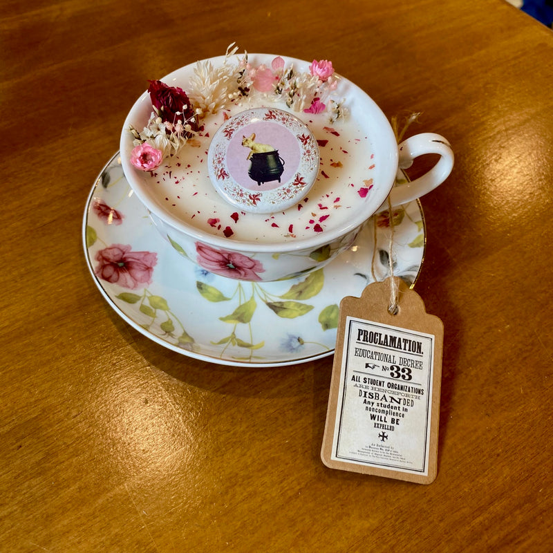 Bougie exclusive – Inspiration Professeur Ombrage - Parfum SAPIN