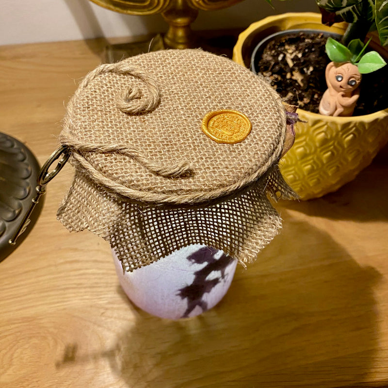 Lanterne artisanale - Fée rose - Fiole parme et clef florale