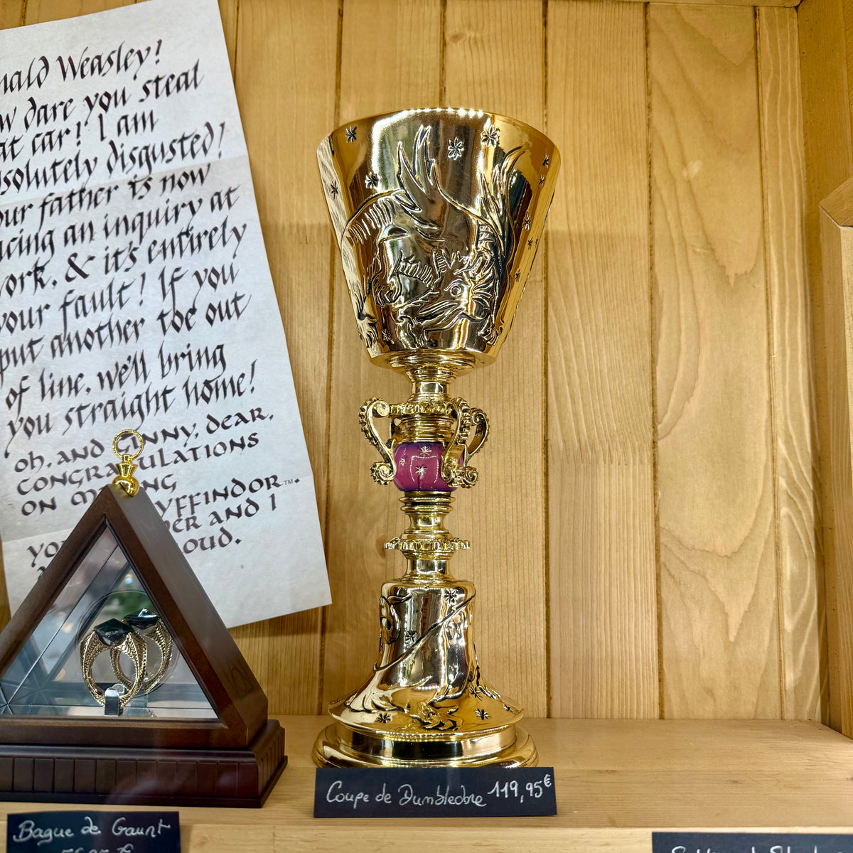 Coupe du Professeur Dumbledore Harry Potter  – The Noble Collection