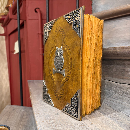 Grimoire en cuir et zinc - Hibou – 200 pages style ancien