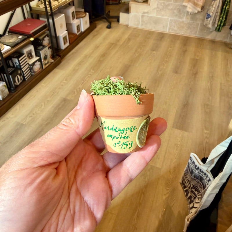 ARTISANAT Mandragore empotée n°159 - Pièce unique